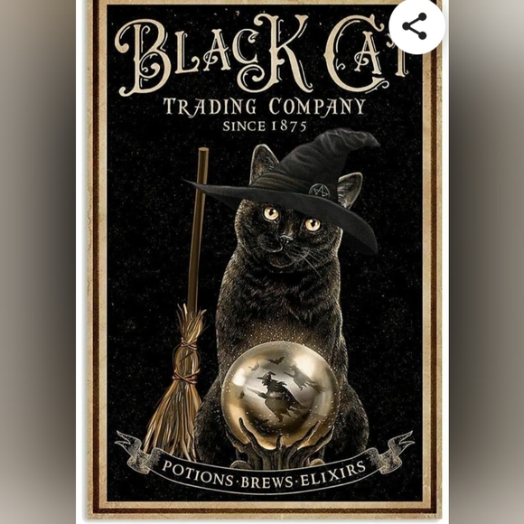 Everything - Picture 2 of 4